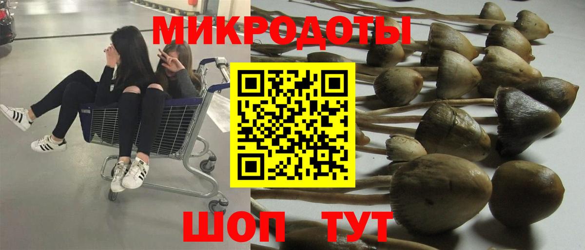 Псилоцибиновые грибы Psilocybine cubensis  Вход с VPN  Ликино-Дулёво 